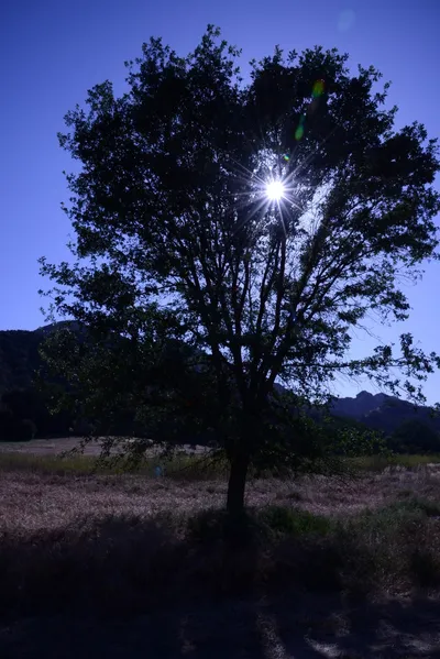 DSC_2066 (Large).JPG